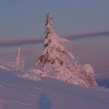 Foto: Emma Nord&eacute;n.