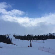 DET BLIR GREIT TIL HELGA
Noen sn&oslash;byger i dag, gl�.