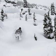 Mushroom People. Foto: Oskar Wagrelius. &Aring;kare: Jacob Heyle.