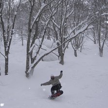laps in the trees all day. luck enough to have one. Foto: Brian Kopish. &Aring;kare: Brian Wolfe.