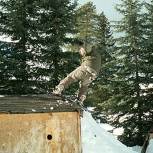 V&aring;ran granne Cy hade byggt en egen park i sin tr�. Foto: Carl Bromarker. &Aring;kare: Filip Eriksson.