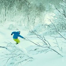 Foto: Ante Ericsson. &Aring;kare: Kim Persson.