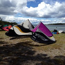 &aring;ker i k&auml;ringviken tor&ouml;. Foto: dalton.