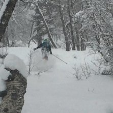 Nye 40 cm nysn&oslash;
.