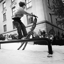 Winter Show i Kungstr&auml;dg&aring;rden 2014.. Foto: Hedda Berander.