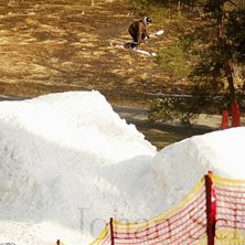 Ett stycke snurr med n&aring;n taskigt grab, n&auml;sta ugl. Foto: Johan Schedin. &Aring;kare: Johan Olsson.