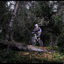 Foto: Mattias Klockar. &Aring;kare: Jimmy Fors.