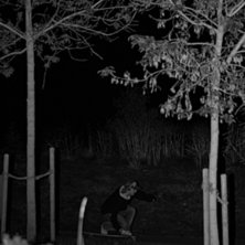 Oktober?. Foto: Fredrik Sill&eacute;n. &Aring;kare: Johan Signell aka Signelinho.