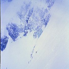 lining up for a shot. Foto: drew bin son. &Aring;kare: nickO.