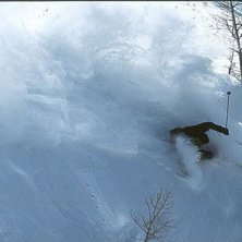 Foto: Myriam Lang Hadik. &Aring;kare: Scott Hammond.