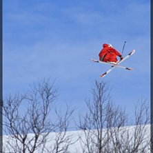 Soliga dag i luossaparken. Foto: Max Andersson. &Aring;kare: Jens Halmkrona.