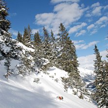 Foto: Alexander Palm. &Aring;kare: krille.