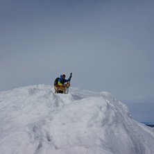 Ja, vovven hade en Pieps TX600 runt halsen :). Foto: Rikard Norman.