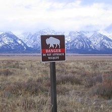 Jackson Hole innan en dump.  Var ute med polarna o.