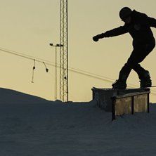 Fs blunt i kv&auml;llssolen. Foto: Jesper Sj&ouml;gren. &Aring;kare: William Cramp.