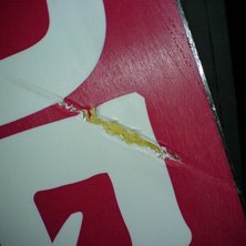 Drog p&aring; mig en ganska schysst reva i br&auml;dan. Foto: Oskar Harrysson. &Aring;kare: Oskar Harrysson.