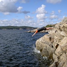 F&aring;r duga med sommar i brist p&aring; vinter :-). Foto: David Hammar. &Aring;kare: Maria J&ouml;nsson.