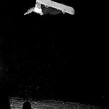 Foto: Andreas Timf&auml;lt / SwedenProPhoto.