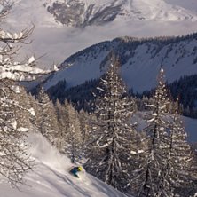 Magisk skogs&aring;kning i Serre. Tagen med Sony Xperia. Foto: Fredrik Falkman. &Aring;kare: TJ.