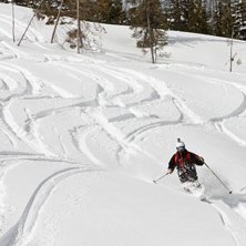 Revelstoke Mountain Foto