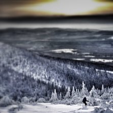 gubbarochtanter.blogspot.com. Foto: Mats Domarg&aring;rd. &Aring;kare: Hanna.