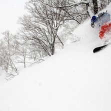 Foto: Christer H&auml;llare. &Aring;kare: Mario Marinkovic.
