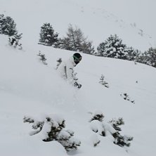 SK&ouml;n skogs&aring;kning. Foto: Martin Wikstr&ouml;m. &Aring;kare: Adam Jonsson.