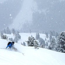 Foto: jonas &aring;kerlind. &Aring;kare: anders lindgren.