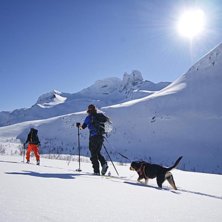 Man har haft det s&auml;mre..