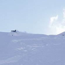 Fluff fluff fluff!. Foto: Stefan Lindgren. &Aring;kare: &Ouml;sten Lindgren.