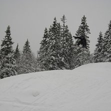 Foto: Svenne. &Aring;kare: Jag.