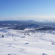 Flotte forhold p&aring; Storefjell
Bilde fra Storefjell.