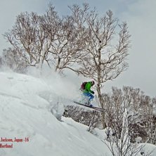 Kuddar i Jackson!....