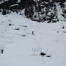 Efter att ha slaktat &amp;quot;pillowsen&amp;quot;. Foto: Oskar Stenseke.