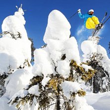 Foto: Andreas Timf&auml;lt. &Aring;kare: Jacob Gustafsson.