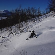 Foto: Daniel Forsberg. &Aring;kare: Bj&ouml;rn.