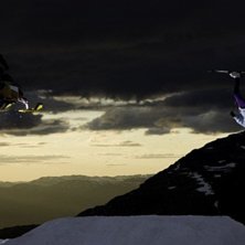 Snowmobile Vs Skier........ Foto: Ola Molin. &Aring;kare: Ad@m.