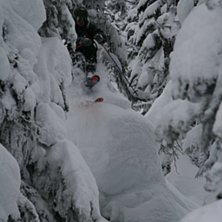 Fin puder i Revelstoke. Foto: Eric Spongberg. &Aring;kare: Clas Ahlstrand.