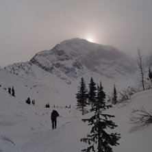 Foto: Jesper Peters&eacute;n. &Aring;kare: Tobias Andersson.
