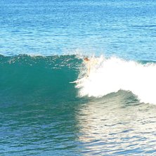 sk&ouml;n h&ouml;st. Foto: matilda odelsheim. &Aring;kare: pastorn.