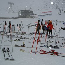Toksn&ouml;ar!. Foto: Johan Nylander.