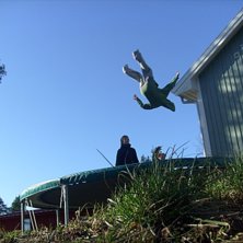 En v&aring;rdag d&aring; vi hoppade studsmatta.... Foto: Niclas L&ouml;vgren. &Aring;kare: Marcus L&ouml;vgren.