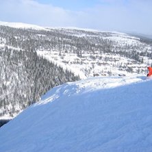 Dassr&auml;nne dropp i Vemdalsskalet.. Foto: oskar. &Aring;kare: Andreas &amp;quot;Frolle&amp;quot; Sj&ouml;beck.