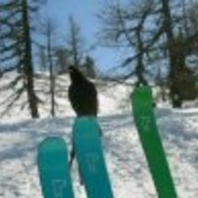 R-Idea med Choucas alpf&aring;gel. Foto: Helena Olsson. &Aring;kare: R-Idea.