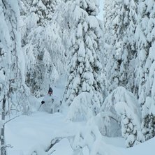 Bak&aring;tvikt :) men de gick bra.... Foto: Mattias Kristensson. &Aring;kare: Michael Ek.