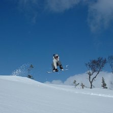 Foto: Rickard Ljunggren. &Aring;kare: Jenny Fred&eacute;n.