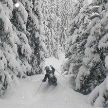 Ett fantastiskt str&aring;k bland granarna p&aring; v&auml;gen n. Foto: Rickard Zanden. &Aring;kare: Pelle B&auml;vman.