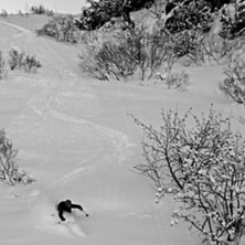 Foto: Felix Grunert. &Aring;kare: Rikard Lindblad.