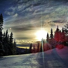 Foto: felicia vestin.