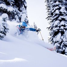 Greleyskogen Med massor av puder. Foto: Emil Modig. &Aring;kare: Johan Lundb&auml;ck.